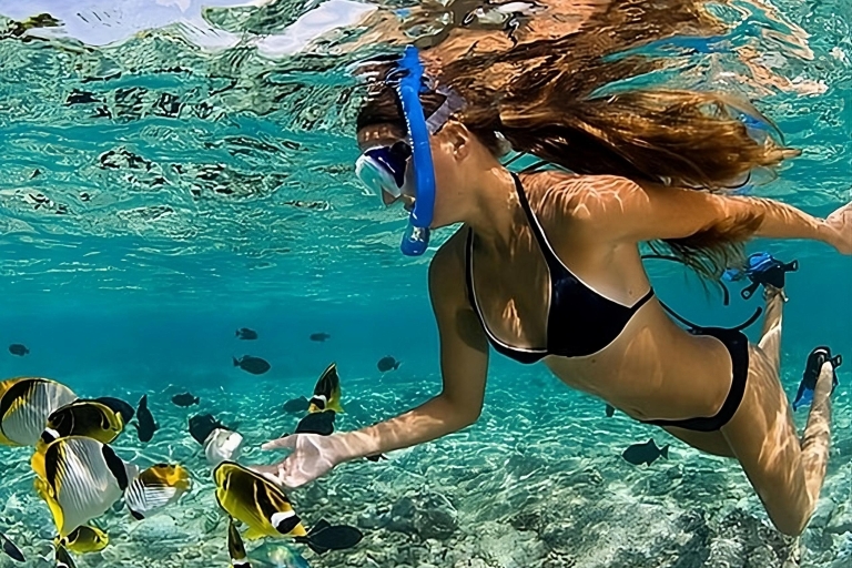 Snorkel de día completo en la Isla Catalina + Almuerzo desde Punta CanaRecogida en hoteles y Airbnb en Cap Cana
