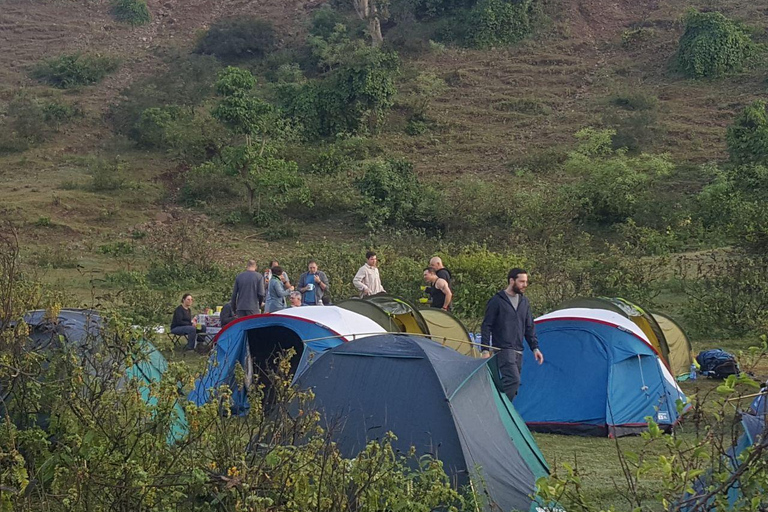 Simien Peaks Odyssey: 6-Day Gelada and Canyon Trek