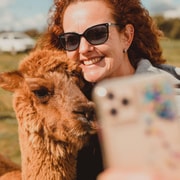 Peterborough: Alpaca Meet and Greet Experience
