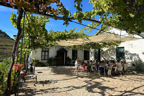 Valle del Douro: tour di mezza giornata con 1 cantina, degustazioni e tour in barca di 1 ora