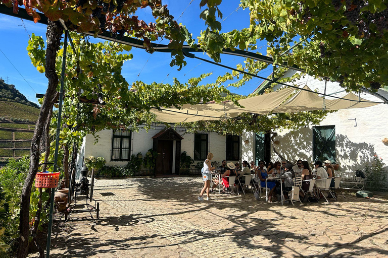 Valle del Douro: tour di mezza giornata con 1 cantina, degustazioni e tour in barca di 1 ora