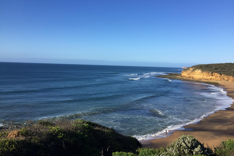 Private Tour of the Great Ocean Road & 12 Apostles