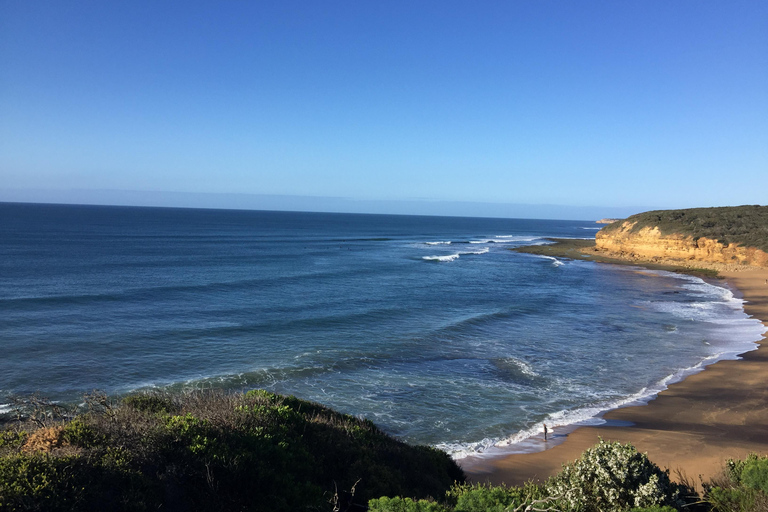 Private Tour of the Great Ocean Road & 12 Apostles