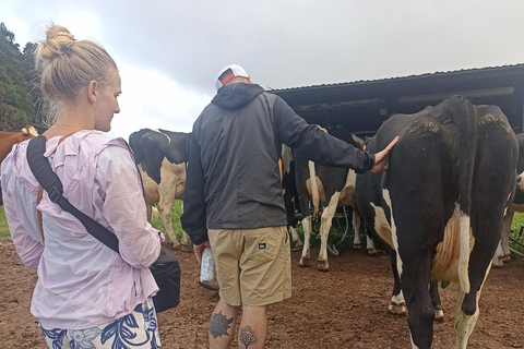 Visite d&#039;une demi-journée au fromage de Sao Jorge