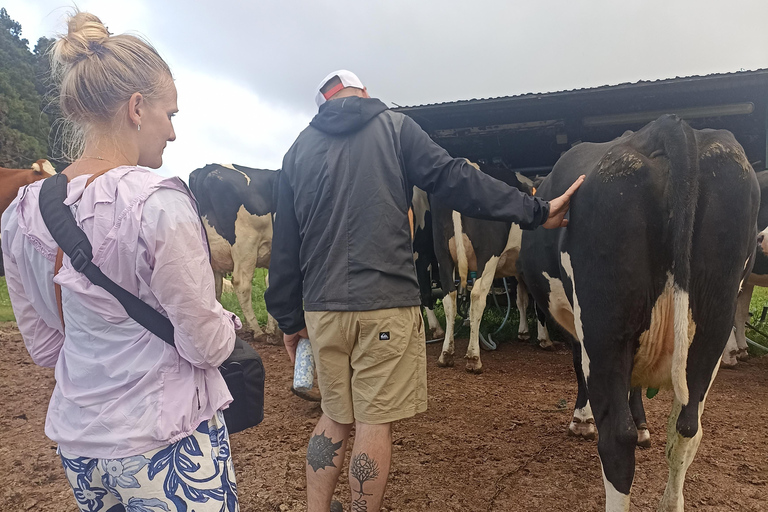 Tour del formaggio di Sao Jorge - mezza giornataTour del formaggio di Sao Jorge - Mezza giornata