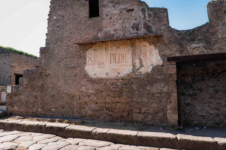 From Naples Port: Pompeii Guided Walking tour or smart guide English guided tour
