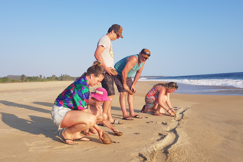 Baby Sea turtles release in Puerto Escondido
