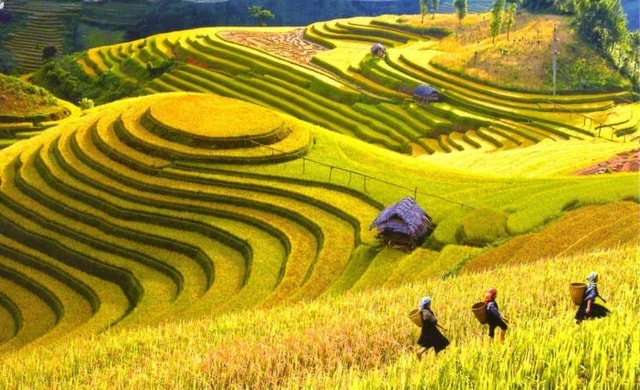 From Hanoi: Sapa 2 Days & Stay In Homestay With Local People