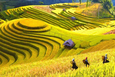 From Hanoi: Visit Sapa 3 Days & See The Terraced Fields Group Tour With A 4-Star Hotel