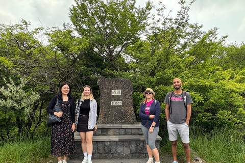 Jeju: Small Group Tour w/Pink Muhly & Tangerine Picking