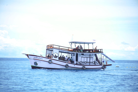 Koh Tao: Excursão de um dia com mergulho com snorkel nas ilhas e almoçoKoh Tao: Ilhas Snorkeling Destaques Day Tour &amp; Almoço