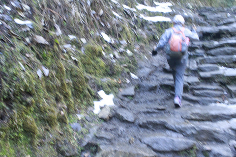 Découvrez la magie de Poon Hill : Un trek de 4 jours au départ de Pokhara