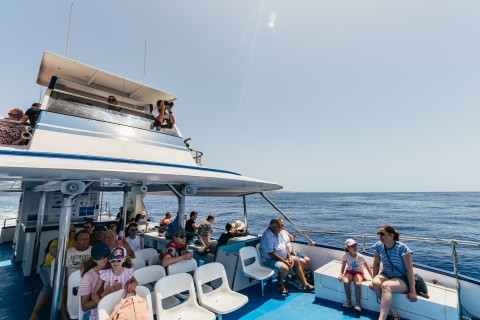Gran Canaria: boottocht dolfijnspotten3 uur durende boottocht dolfijnspotten, inclusief vervoer