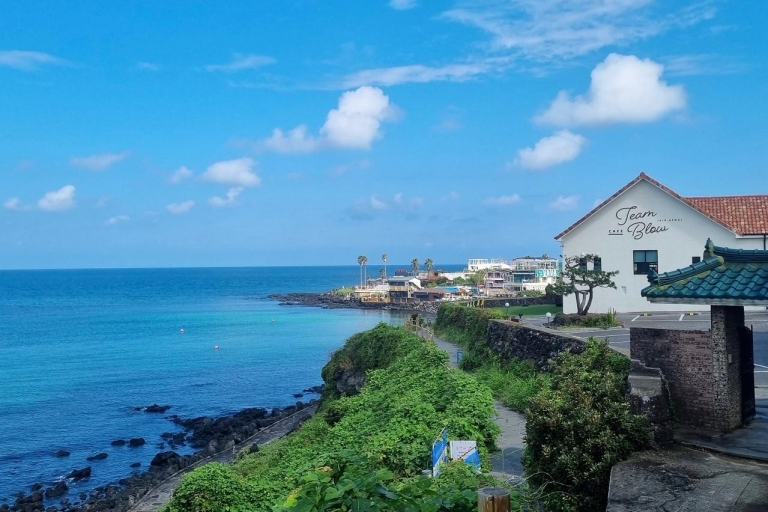 Jeju: dagtrip naar het westelijke Jeju-eiland met Hallim Park-ticketWest-Jeju-dagtour