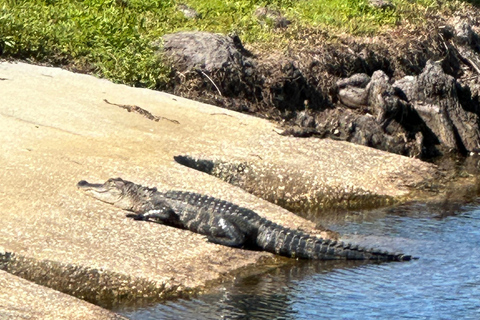 Kissimmee: Self-Guided Lakefront Tour on Electric Bike