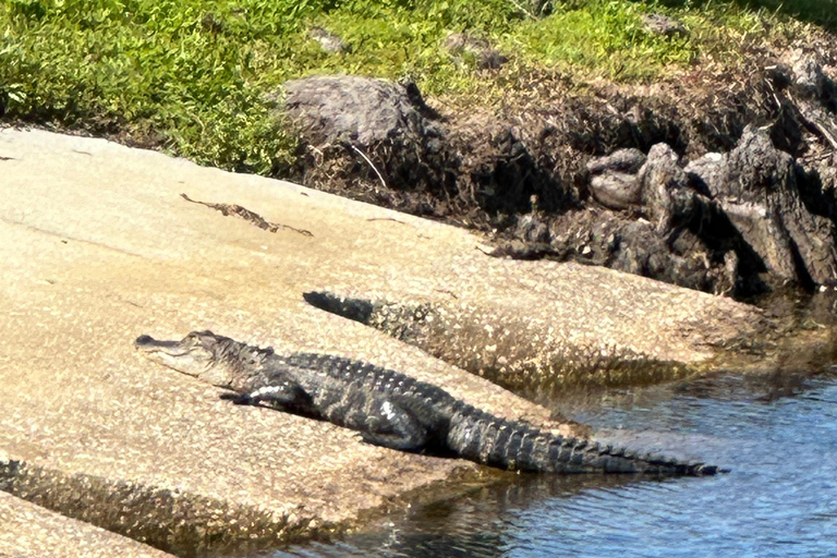 Kissimmee: Self-Guided Lakefront Tour on Electric Bike