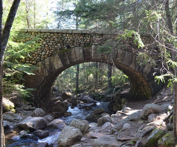 Bar Harbor: Acadia National Park Private Tour with Lunch