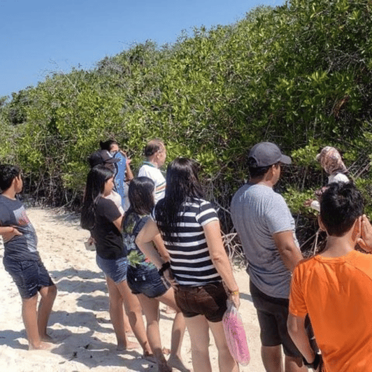 Galapagos Charles Darwin Station Tortuga Bay Private Tour GetYourGuide