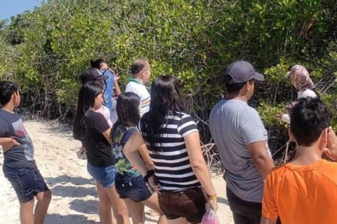 Private Tour: Charles Darwin Station & Tortuga Bay Beach