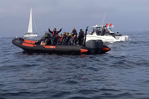 Saint-Malo : Zeilen &amp; Watertaxi