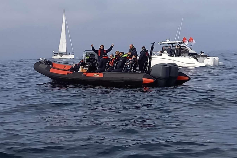 Saint-Malo: Sailing & Water cab