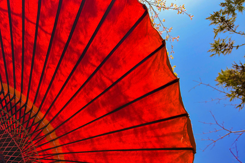 جلسة تصوير خاصة في كيوتو مع مرشد