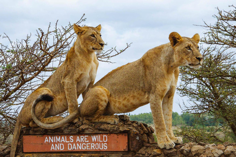 Parc national de Nairobi, visite du centre pour bébés éléphants et girafes