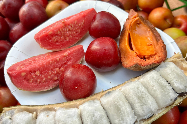 Colombian Street Food - 13 tastings included