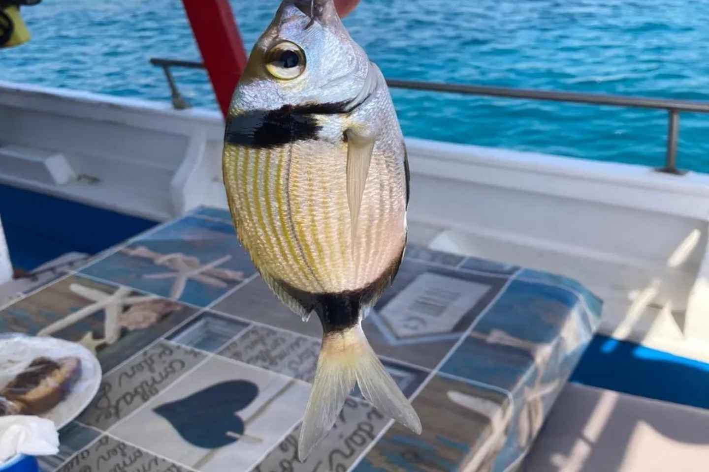 Chania: Fishing Boat Trip with Breakfast and Swim