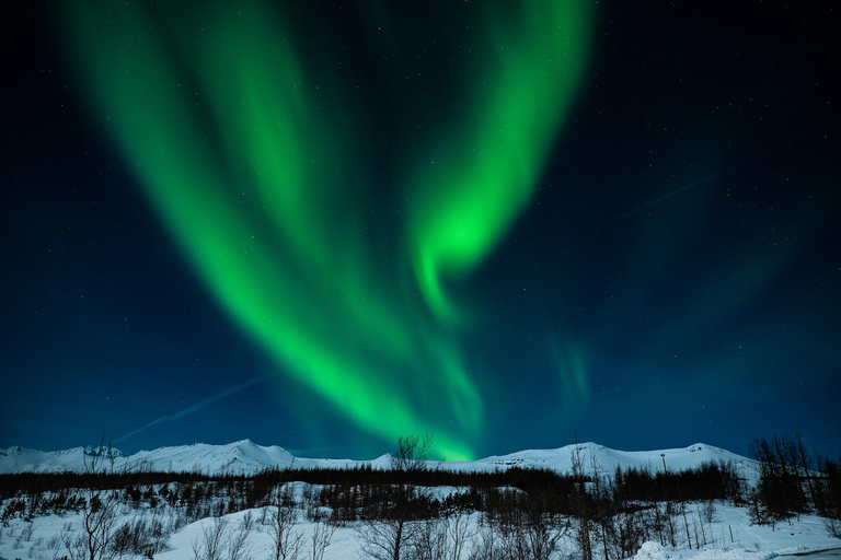 Akureyri: Northern Lights Hunt with Forest Lagoon Entry