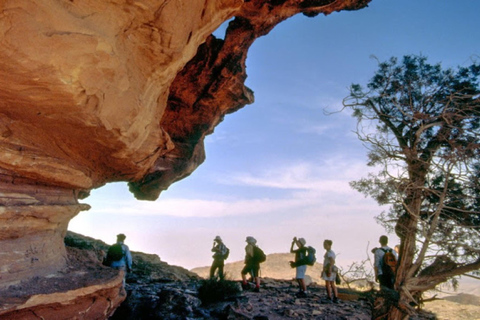 Jordan 4-Day Tour: Amman, Petra, Wadi Rum & Dead Sea