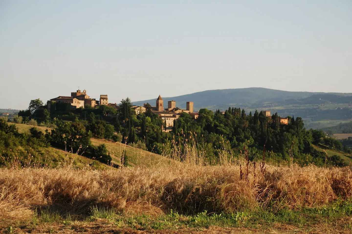 Certaldo Alto e San Gimignano: gita di 1 giorno da Firenze