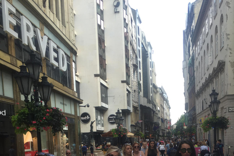 Tour privato in Segway a Budapest: tour di Buda e Pest2 ore