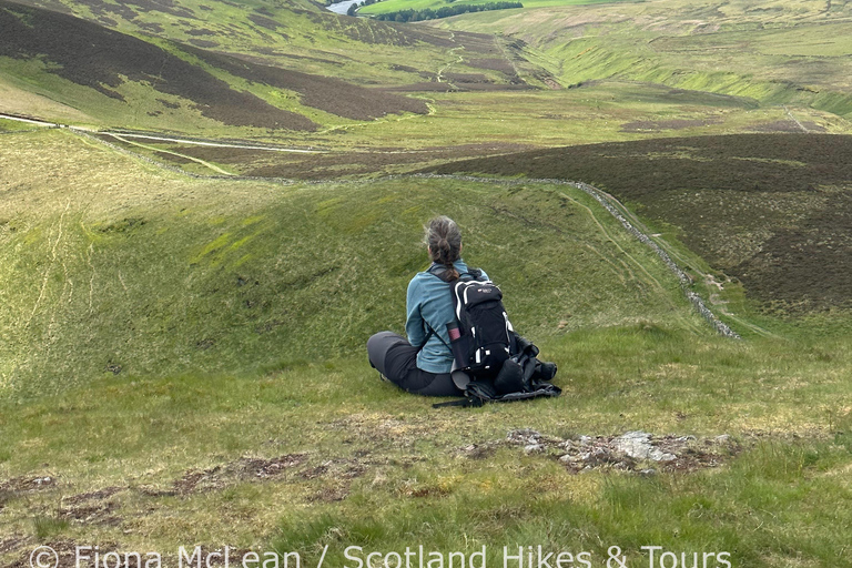 Hills, heather & Highland cows: Hiking in the Pentlands Hills, heather & Highland cows - Hiking in the Pentlands