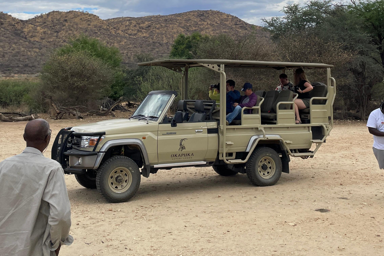 Namibia im November: 8-tägige geführte Tour mit Flügen und Mahlzeiten