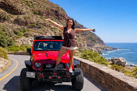 Cape Town: Jeep Tour with Penguins, Wine, and Sunset Drive