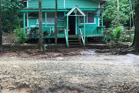 Diepe grotten in Cabarete met rondleiding en zwemmen