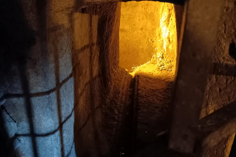 From Dresden: Table mountains Lilienstein & Königstein tour