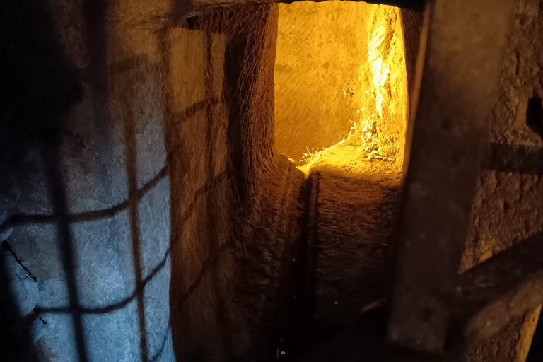 From Dresden: Table mountains Lilienstein & Königstein tour