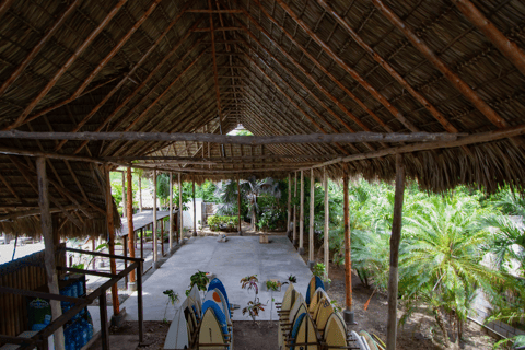 Private: Rural & Urban Dominican Life Tour: Flavors, Fields