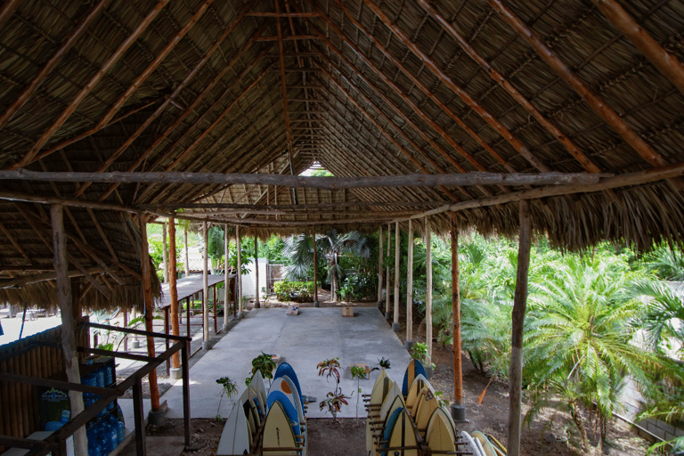 Private: Rural & Urban Dominican Life Tour: Flavors, Fields