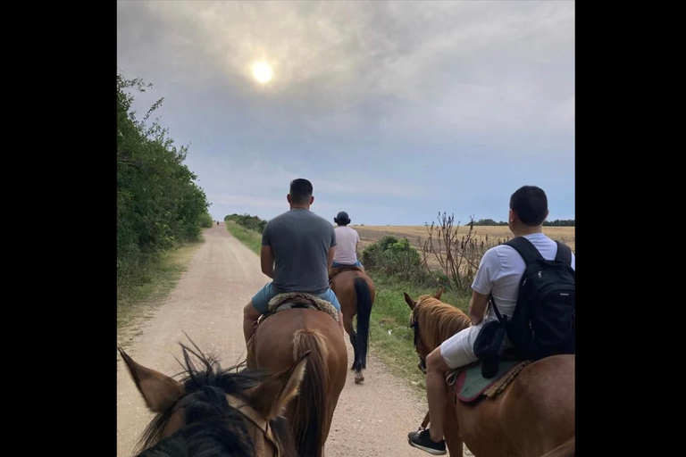 Colonia del Sacramento: Countryside Horseback Riding Tour
