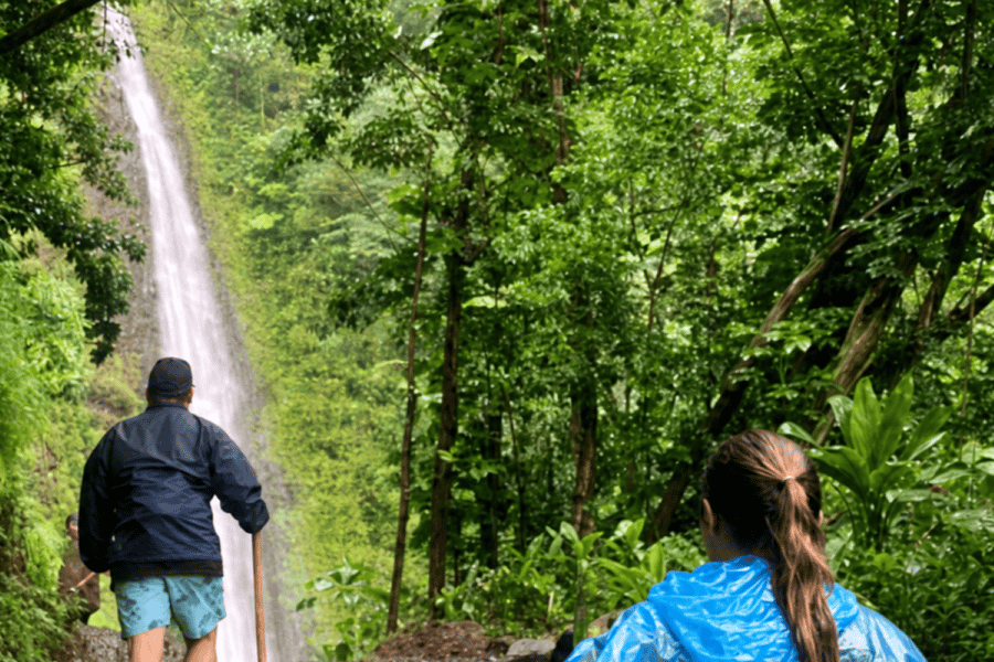 Honolulu: Wandertour zum Wasserfall Manoa Falls durch den Regenwald. Foto: GetYourGuide