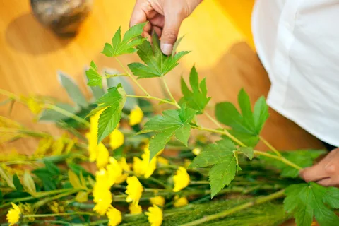 Tokyo : Atelier d'Ikebana à Ginza