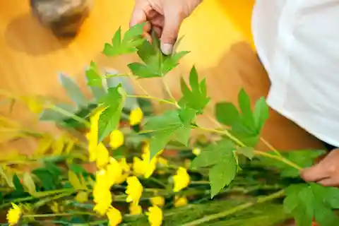 Tóquio: Oficina de Ikebana em Ginza