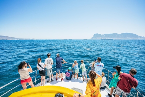 From Malaga: Gibraltar and Dolphin Sightseeing Boat Tour From Torremolinos Center