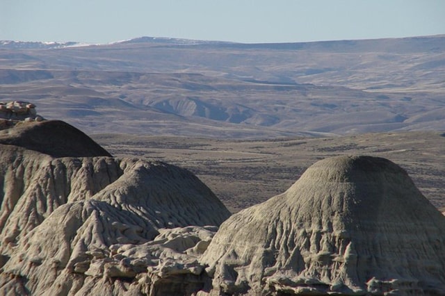 El Calafate: La Leona Petrified Forest & Fossils Trek