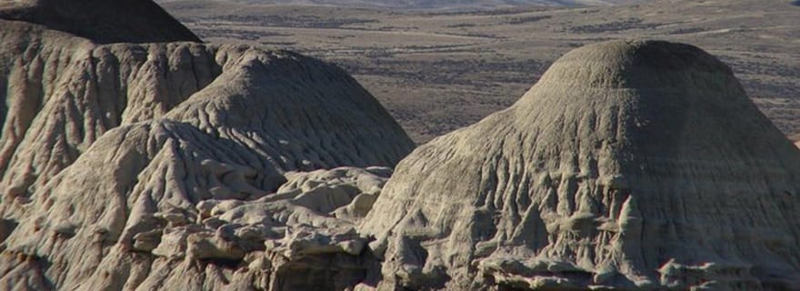 El Calafate : Excursion d'une journée dans la forêt pétrifiée de La Leona