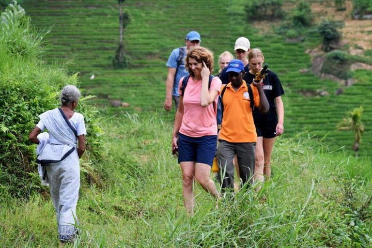 Kandy: Heeloya Village Tour with Lunch and Guide