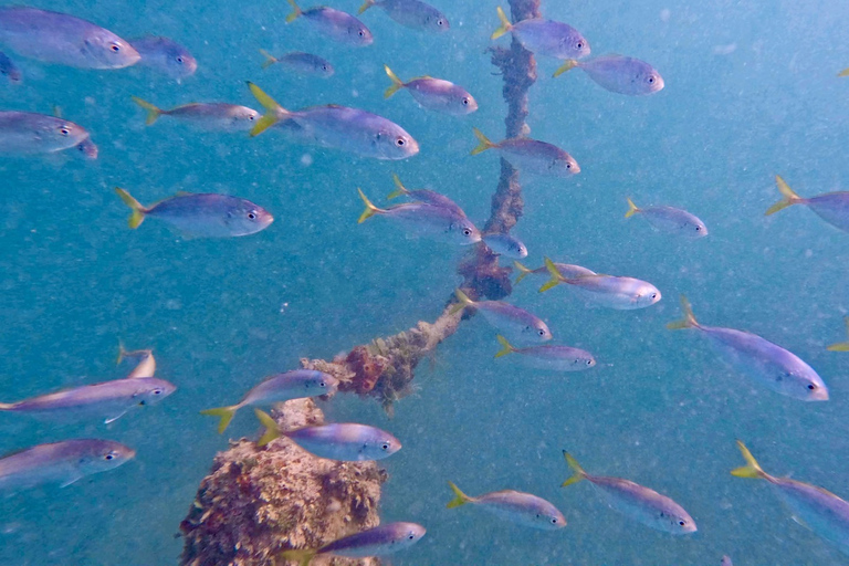 West Palm Beach: Excursión de snorkel en jet para principiantes con vídeos